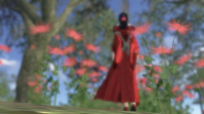 你用 Python 写过哪些有趣的脚本？