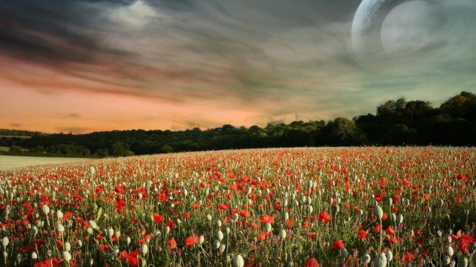 你在哪个瞬间突然喜欢上了某个历史人物？